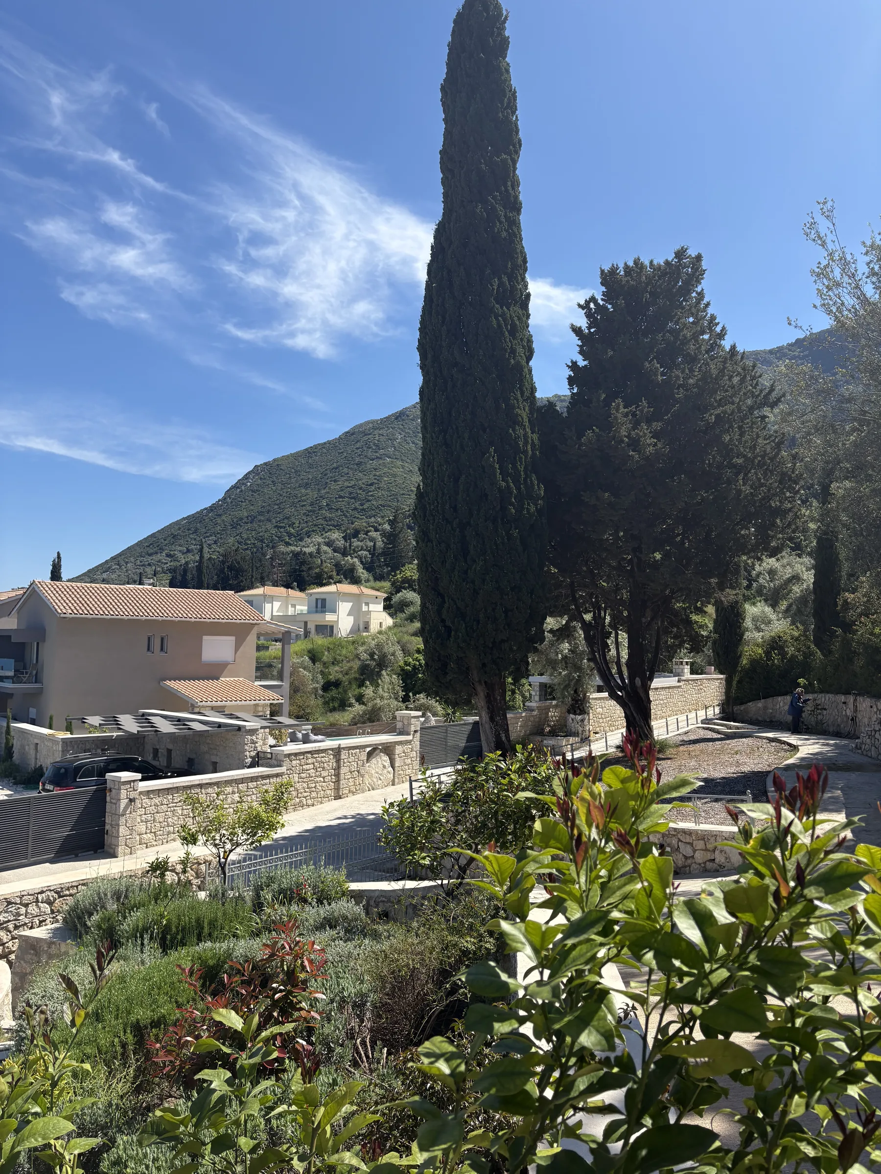 Garden and hillside view with cypress trees above the villa